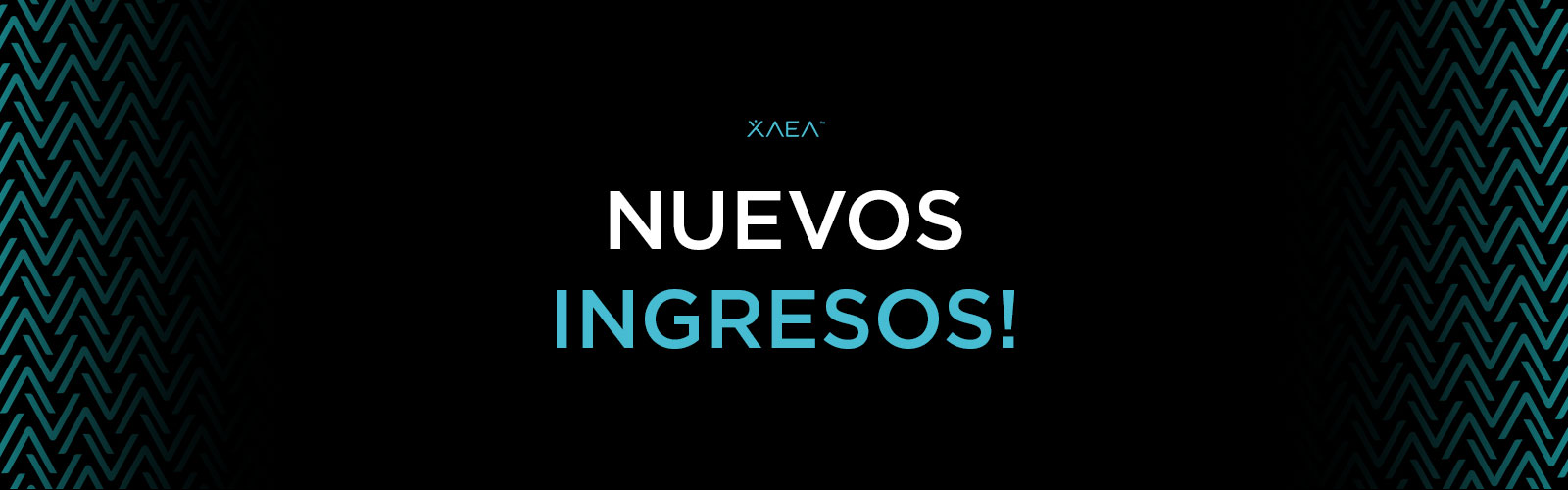 Conocé nuestros productos